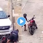 theif viral video