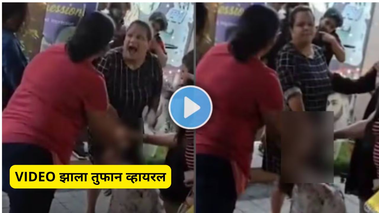 Fights viral video