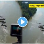 Anaconda Viral Video