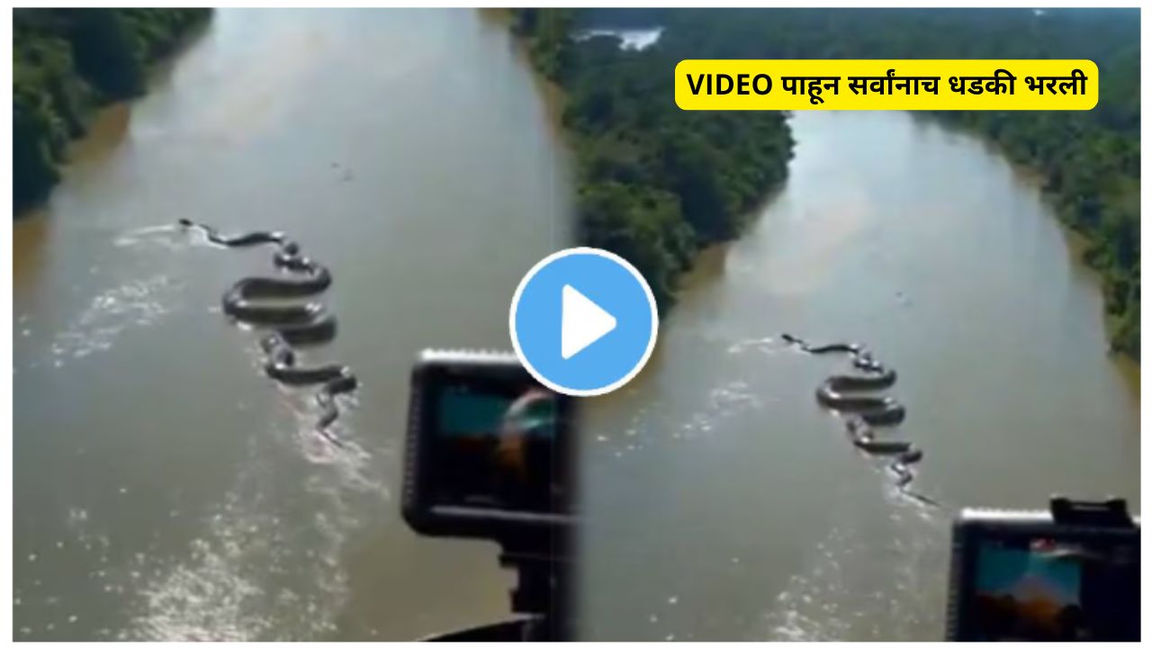 Anaconda Viral Video