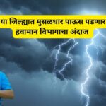 IMD Report
